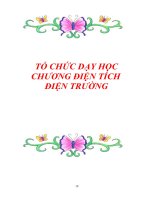 TỔ CHỨC DẠY HỌCCHƯƠNG ĐIỆN TÍCH ĐIỆN TRƯỜNG