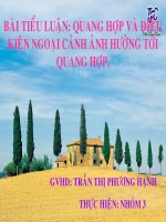 bài tiểu luận quang hợp  và điều kiện ngoại cảnh ảnh hưởng tới quang hợp