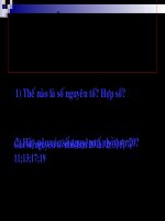 phan tich mot so ra thua so nguyen to