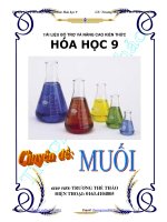 Tài liệu dạy thêm, học thêm  chuyên đề Muối hóa học lớp 9