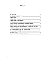 Hậu quả pháp lý của việc nuôi con nuôi và một số giải pháp hoàn thiện pháp luật về vấn đề này
