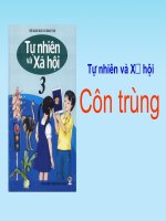 Bài giảng có SD bản đồ tư duy