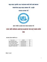 CÁC MÔ HÌNH ARCH GARCH VÀ DỰ BÁO RỦI RO