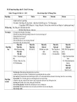 Côn trùng Động vật tuần 4