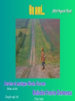 Đọc thêm - Song ngữ