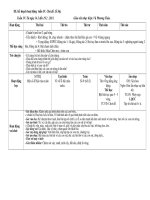 Tết và mùa xuân tuần 4