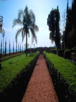 mot so benh ve tinh trang di truyen o nguoi