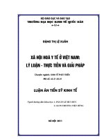 NHỮNG VẤN ĐỀ LÝ LUẬN CƠ BẢN VỀ XÃ HỘI HOÁ Y TẾ