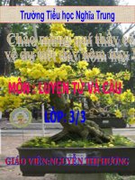 thanh tra LTVC tuan 19