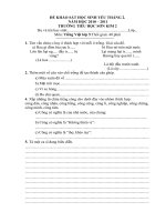 Đề khảo sát học sinh yếu tháng 2 từ lớp 1 đến 5