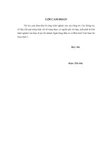 Luận văn thạc sỹ: Hoàn thiện phân tích tài chính doanh nghiệp trong hoạt động cho vay tại Ngân hàng Đầu tư và Phát triển Việt Nam  Sở Giao dịch 1