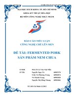 báo cáo tiểu luận công nghệ lên men đề tài FERMENTED PORK sản phẩm nem chua