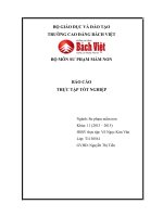 báo cáo thực tập tốt nghiệp sư phạm mầm non