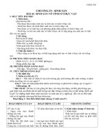 giáo án 11 bài 41 sinh sản vô tính ở thực vật