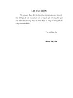 Luận văn thạc sỹ: Hoàn thiện công tác quản lý chi phí tại Ngân hàng TMCP Liên Việt – Chi nhánh Thăng Long