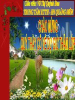 Ky thuat trang tri mon an