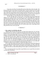 Bài tập lớn học kì môn luật hiến pháp việt nam