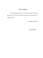 Luận văn thạc sỹ: Một số giải pháp nâng cao hiệu quả quản lý rủi ro tín dụng tại NHTMCP Sài Gòn – Hà Nội, chi nhánh Hà Nội