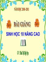 BÀI 39- SINH SẢN CỦA VSV