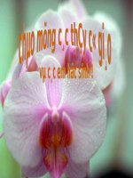 phương trình đường tròn-tiết 1