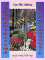 Su sinh san cua thuc vat co hoa(khoa hoc lop 5)