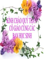 Bài 22: TÌNH HÌNH KINH TẾ Ở CÁC THẾ KỈ XVI-XVIII