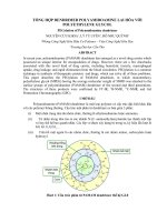 bài báo khoa học tổng hợp polyamidoamine lai hóa với polyethylene glycol