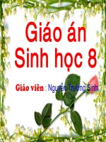Trụ não , tiểu não và não trung gian ( hội giảng)