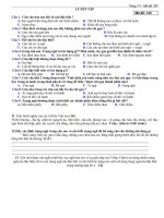 Bo de thi (Van va Tieng Viet)- Lop 7