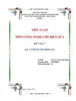 Công nghệ chế biến sữa