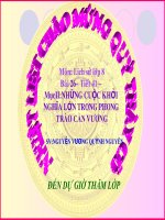 những cuộc khởi nghĩa lớn của phong trào Cần Vương