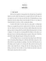 Quy hoạch sử dụng đất xã tân hưng, thị xã bà rịa, tỉnh bà rịa vũng tàu đến năm 2015