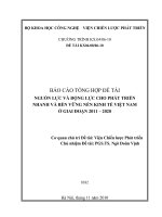 NGUỒN lực và ĐỘNG lực CHO PHÁT TRIỂN NHANH và bền VỮNG nền KINH tế VIỆT NAM ở GIAI đoạn 2011 – 2020