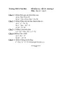 DE DA TOAN 8 TUAN 11