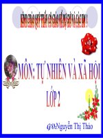 bài:Cây sống ở đâu?