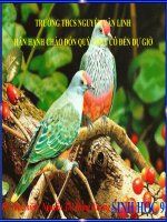 Bài 34. Thoái hóa do tự thụ phấn