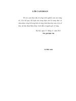 Luận văn thạc sỹ: Một số giải pháp tạo dựng và duy trì nguồn nhân lực chất lượng cao tại Công ty TNHH NN MTV Thương mại và Xuất nhập khẩu Viettel