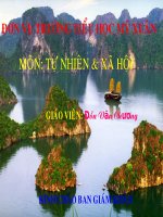 bài: Vệ sinh môi trường.