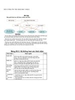 ĐỀ THI SINH HỌC 9 HKI