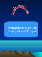 Tiet 47. Su da dang va dac diem chung cua lop chim