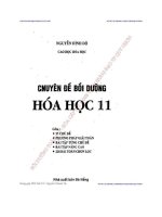 CHUYÊN ĐỀ BỒI DƯỠNG HÓA HỌC 11   NGUYỄN ĐÌNH ĐỘ