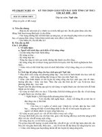 Đáp án thi GVDG cấp tỉnh nghệ an chu kỳ 2009-2012