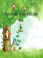 Bai 13 Cam hoa trang tri