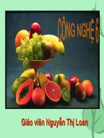 BAI 24 TIA HOA QUA CU