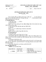 Kế hoạch kiểm tra giữa kỳ II