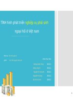 slide tình hình công cụ ngoại hối phái sinh hiện nay