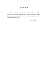 Luận văn thạc sỹ: Nâng cao hiệu quả tín dụng đối với DNNVV tại Ngân hàng thương mại cổ phần Ngoại thương Việt Nam – Chi nhánh Hải Phòng