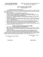 bao cao hoat dong doi thang 11