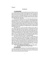 phân tích tình hình hoạt động cho vay tiêu dùng tại ngân hàng nông nghiệp và phát triển nông thôn quảng trị