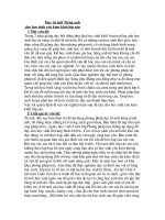 sang kien day tu vung